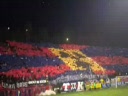 Cea mai frumoasa Galerie