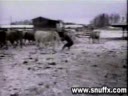 ski en roumanie