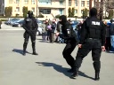 mascatii in actiune