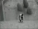 Parkour - 1