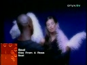 Seal - Kiss From A Rose