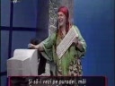 vacanta mare (tigani si internetu)