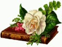 SERENADA FLORILOR !!!QQQQQQQ