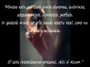 EMOTIILE .....  !!