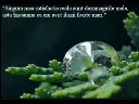 MELANCOLIE ..!!!