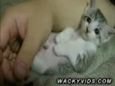 Tiny Cat Sleeping